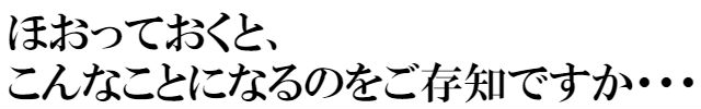 ほおっておくと、こんなことになるのをご存知ですか・・・