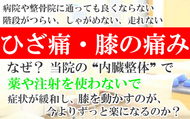 病院や整骨院に通っても良くならない階段がつらい,しゃがめない,走れないひざ痛・膝の痛みがなぜ？当院の内臓整体で薬や注射を使わないで症状が緩和し膝を動かすのが今よりずっと楽になるのか？