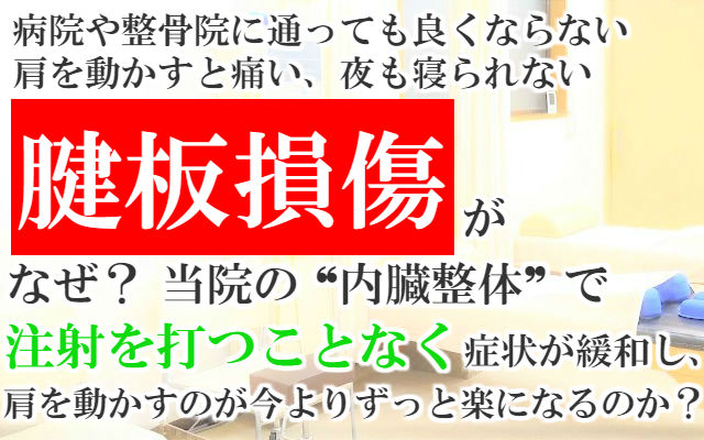 病院や整骨院に行っても良くならない,肩を動かすと痛い,夜も寝られない腱板損傷がなぜ？当院の内臓整体で注射を打つことなく症状が緩和し肩を動かすのが今よりずっと楽になるのか？